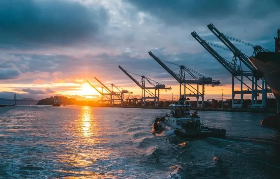 Sunny Worldwide Logistics