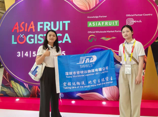 Transparent na pagpepresyo para sa China sa mga solusyon sa logistik ng Tuvalu