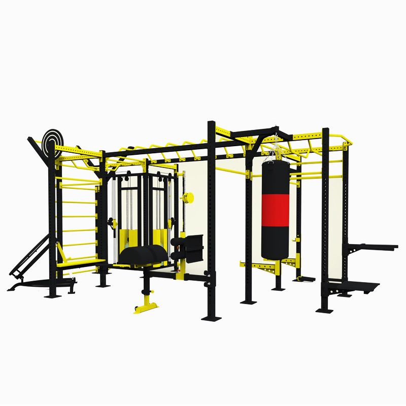 gym fitness workout rig basiseditie