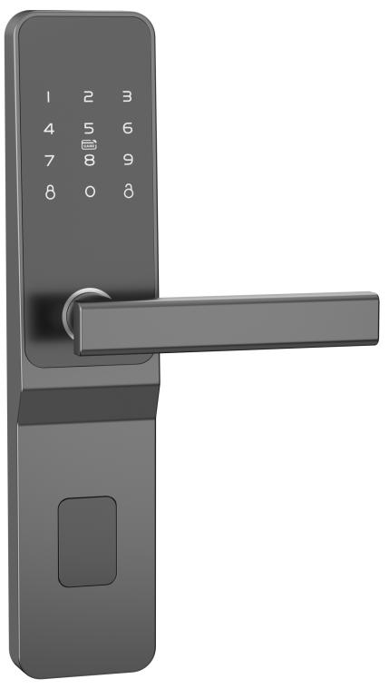 China bluetooth TTlock Tuya APP Remote Control Password Smart Door Lock factory