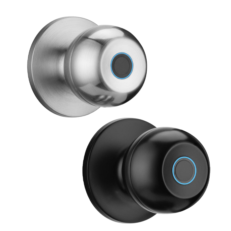 New Smart Fingerprint Wood Door Lock Tuya Ttlock APP Manufacturer