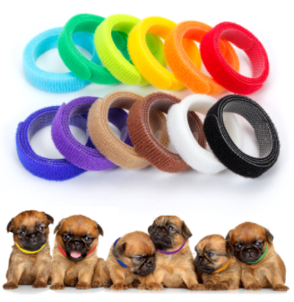 12PCS/Pack Style Design Back to Back Pet Tie Hook&Loop Pet Necklace Newborn Pet Identification