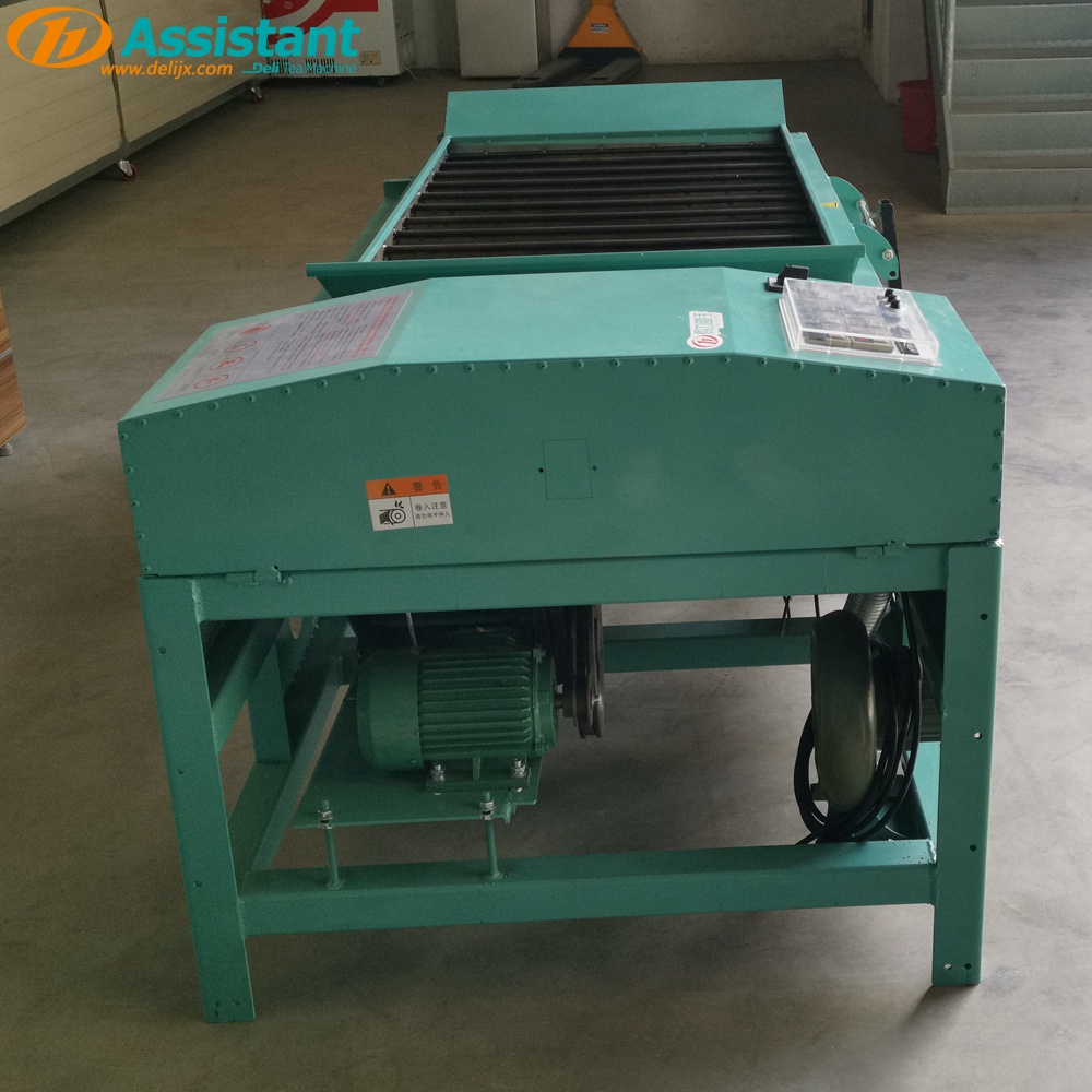 China Strip Type Needle Tea Carding Shaping Machine DL-6CLT-8012 manufacturer