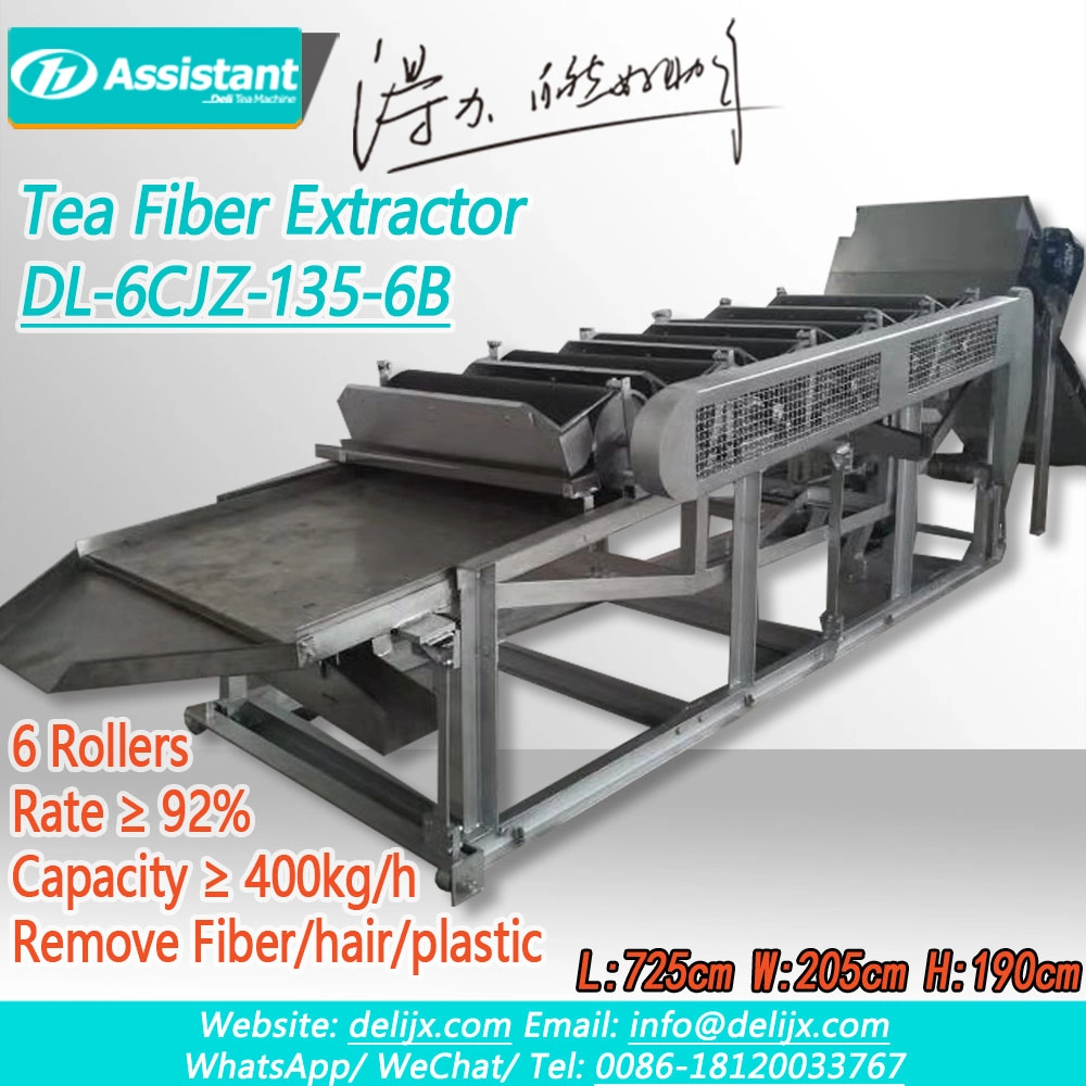 Máquina limpiadora de eliminación de polvo electrostático de té DL-6CJZ-135-6B
