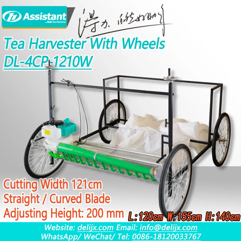 
Máquina cosechadora de hierbas lavanda de 1210 mm con estante y ruedas DL-4CP-1210W