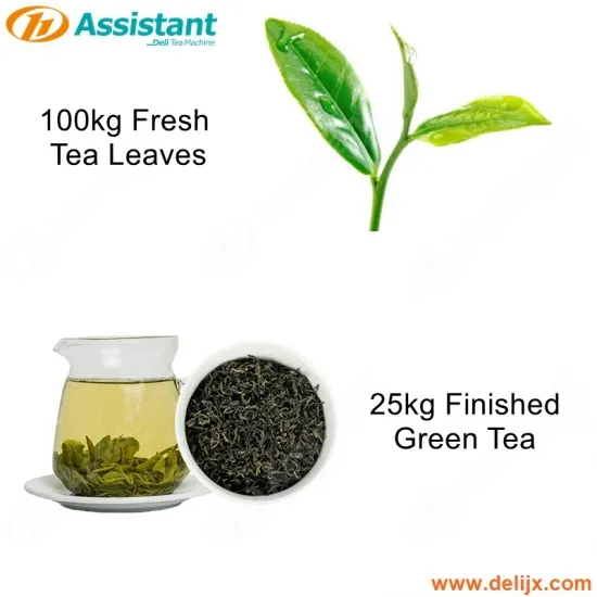 China How To Make 25Kg Finished Green Tea By Machine? manufacturer