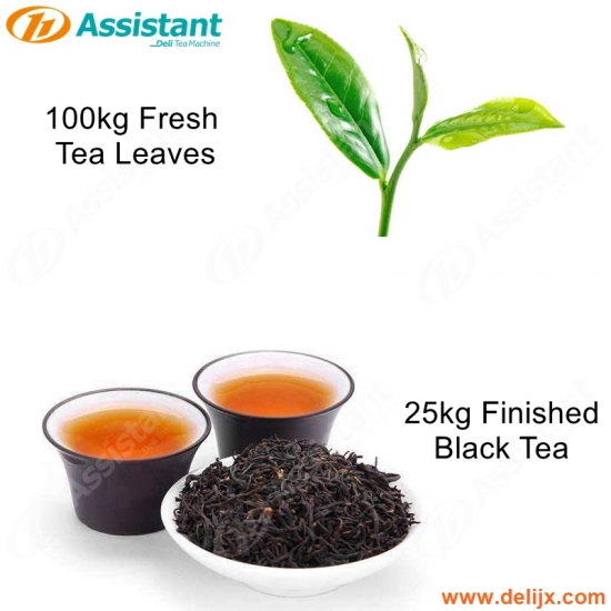 ¿Cómo hacer té negro de 25kg FINANSHIET BY BY MAILINS?