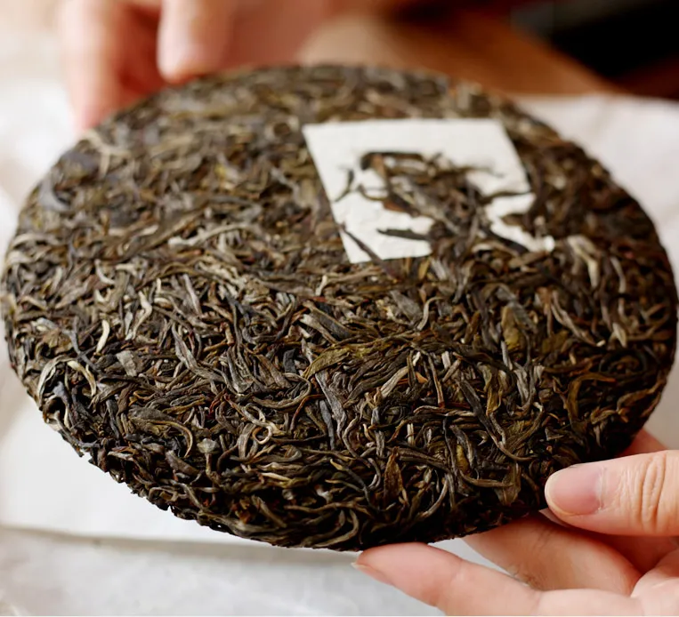 China Influencing Factors Of Pu'er Tea Processing manufacturer