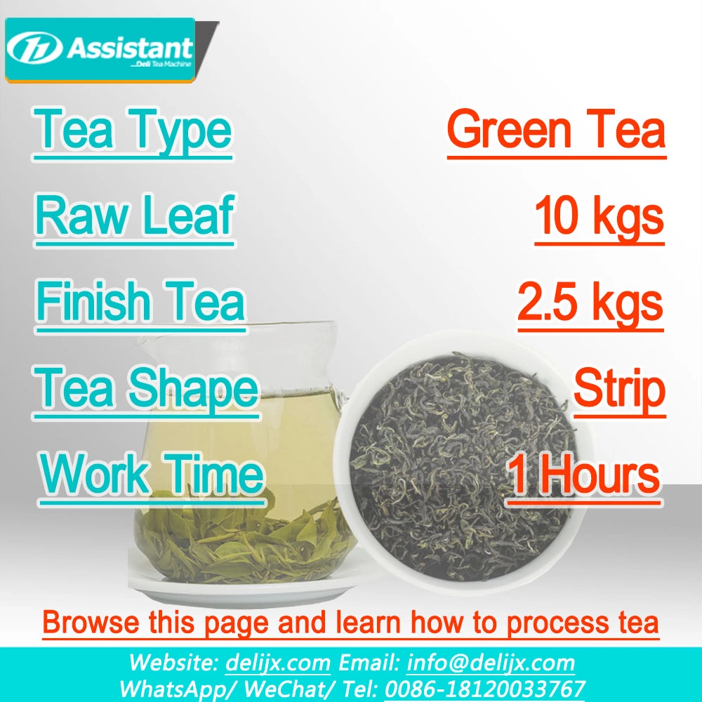 
10 kg de solución de producción de té verde (hoja fresca) - 1 hora