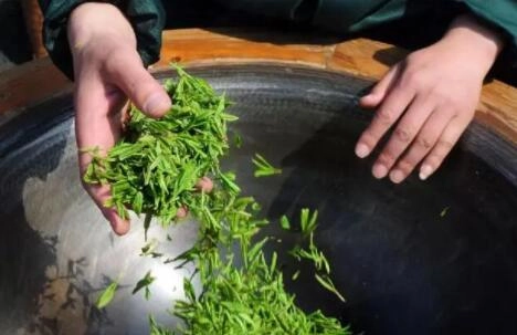 Китай Зеленый чай ручной работы производителя