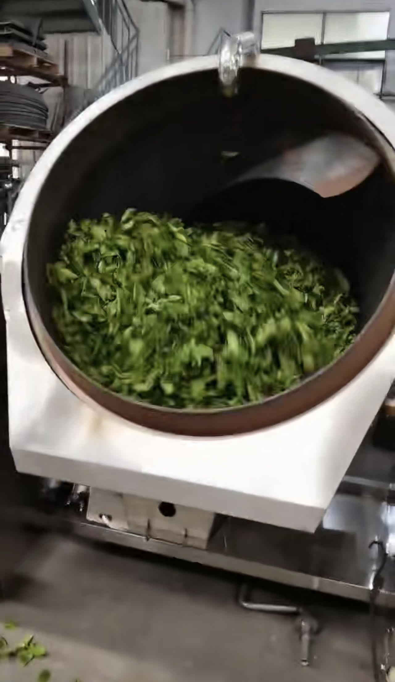Fijación De Té Pu'er