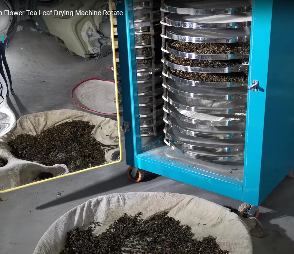 Secado de té blanco