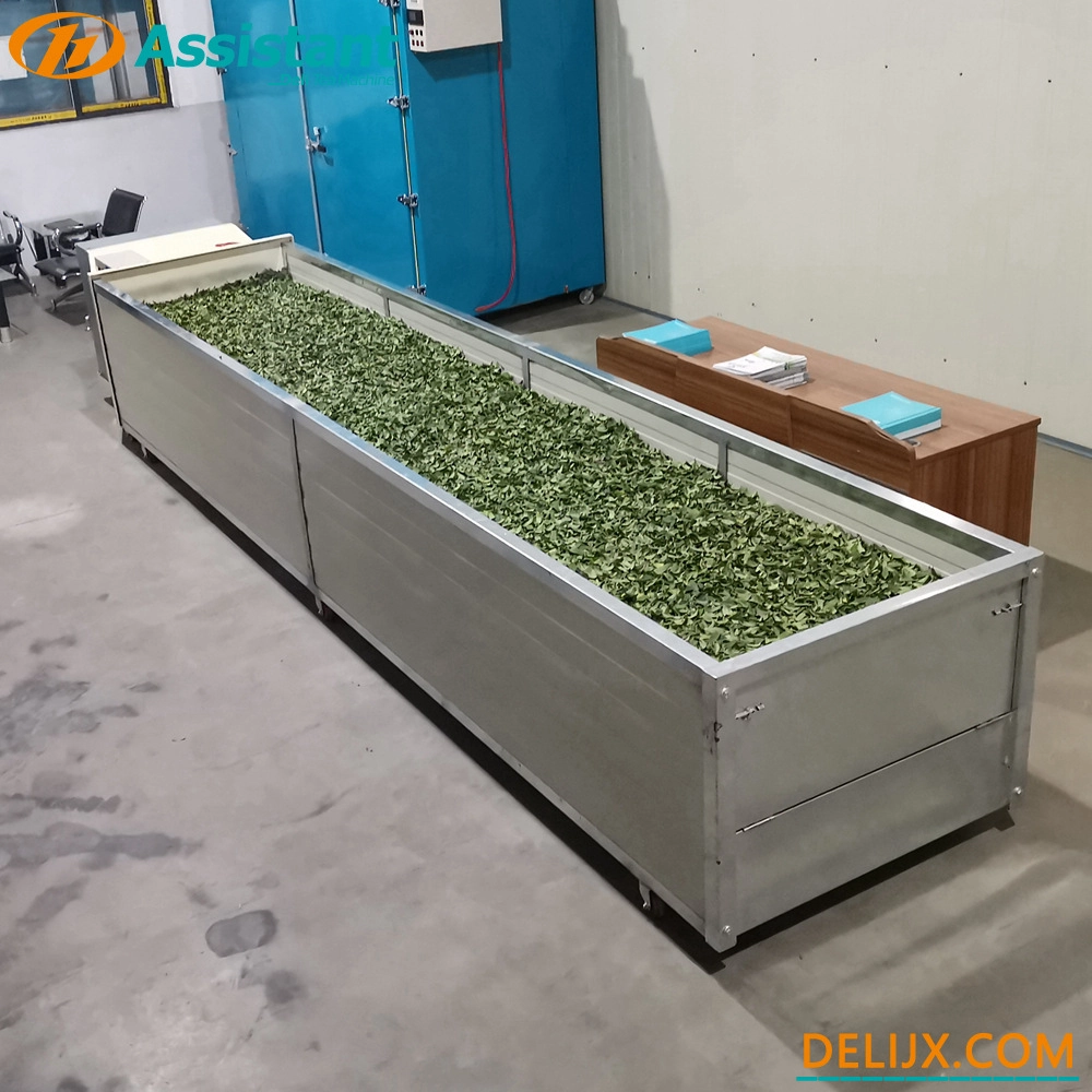 China How To Withering Tea Leaves On Rainy Day? manufacturer