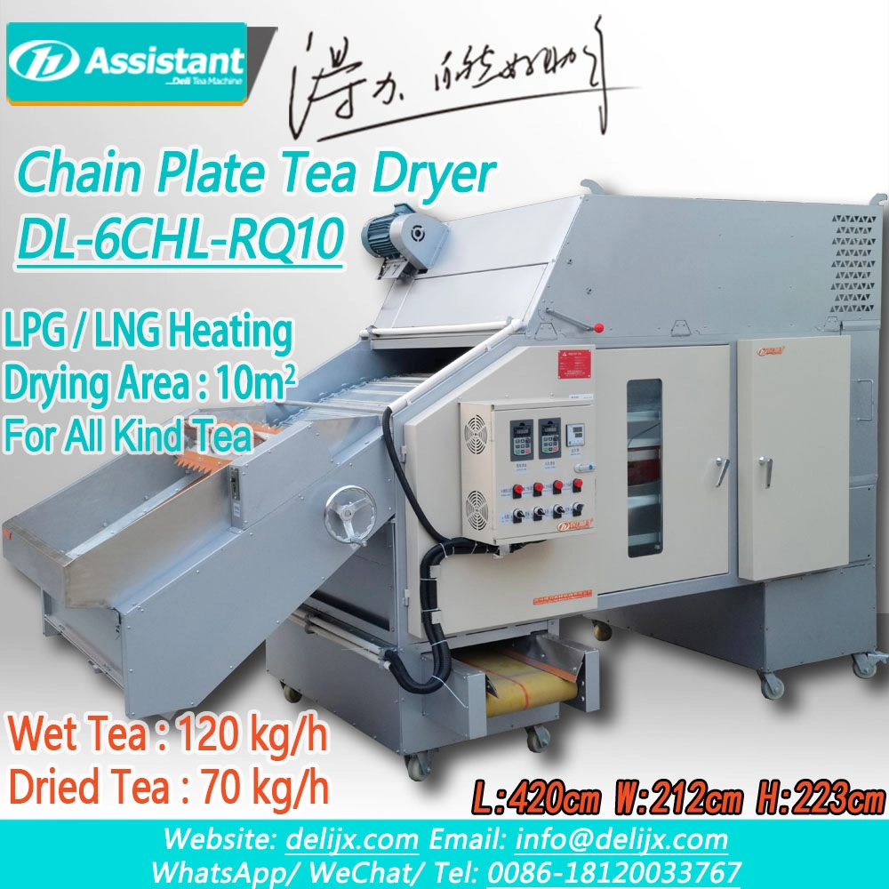 Máquina secadora de té tipo correa continua pequeña de calefacción de gas DL-6CHL-RQ10
