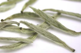 Silver Needle Baihao