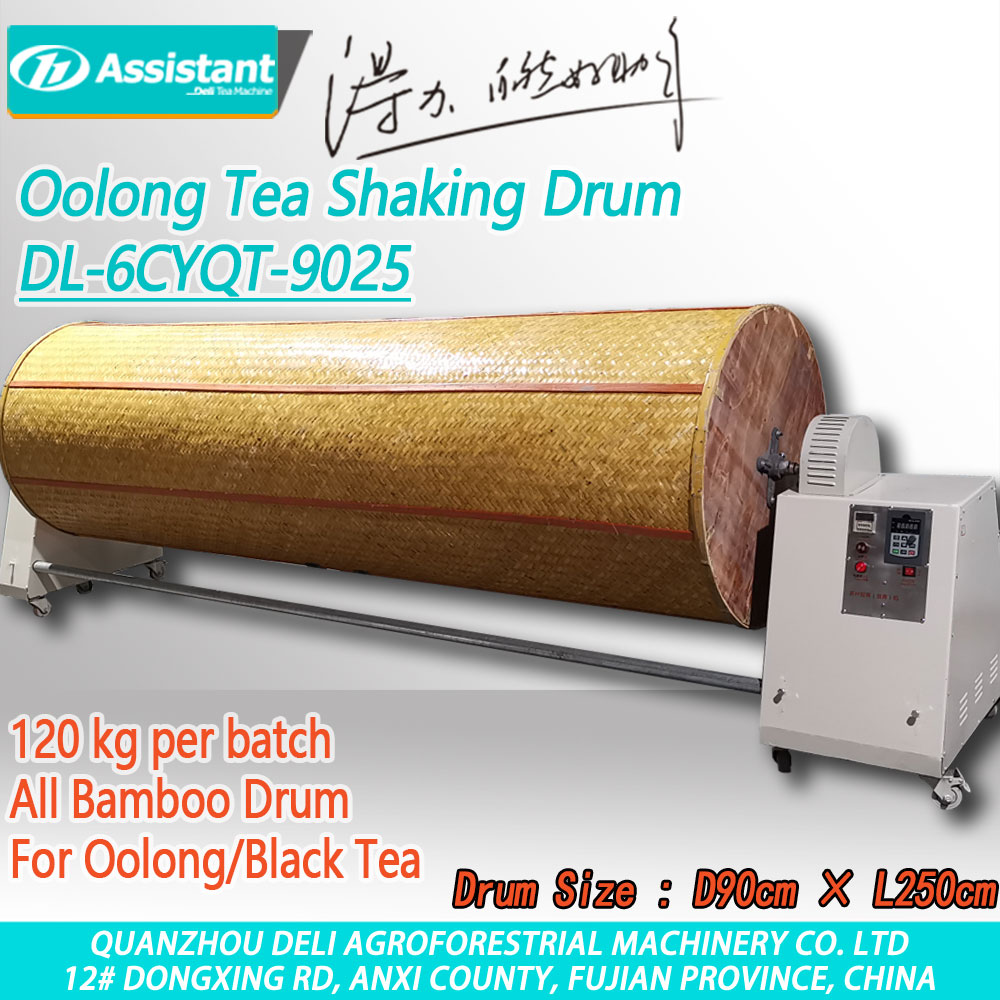 El arte del té Oolong: desde la artesanía tradicional hasta la innovación moderna con el tambor tembloroso