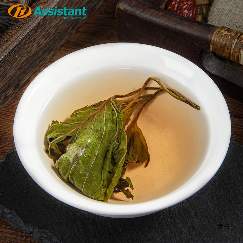 Procesamiento de té ortodoxo con maquinaria moderna