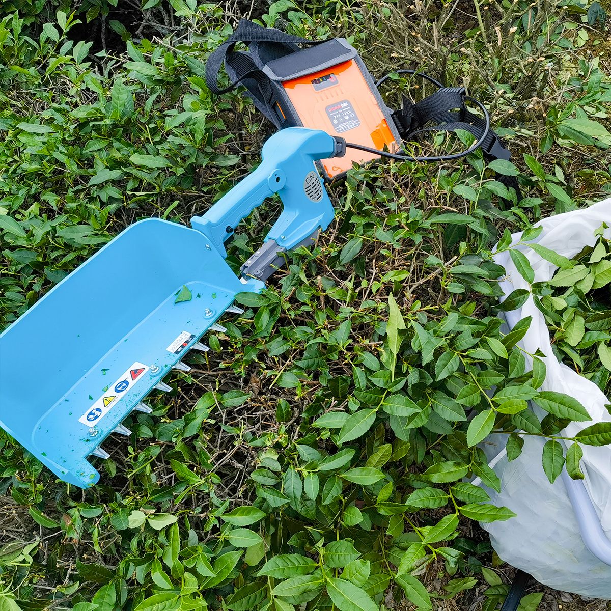 Dari Pabrik ke Ladang: Perjalanan Pemanen Teh Baterai Ransel & Panduan Penggunaan