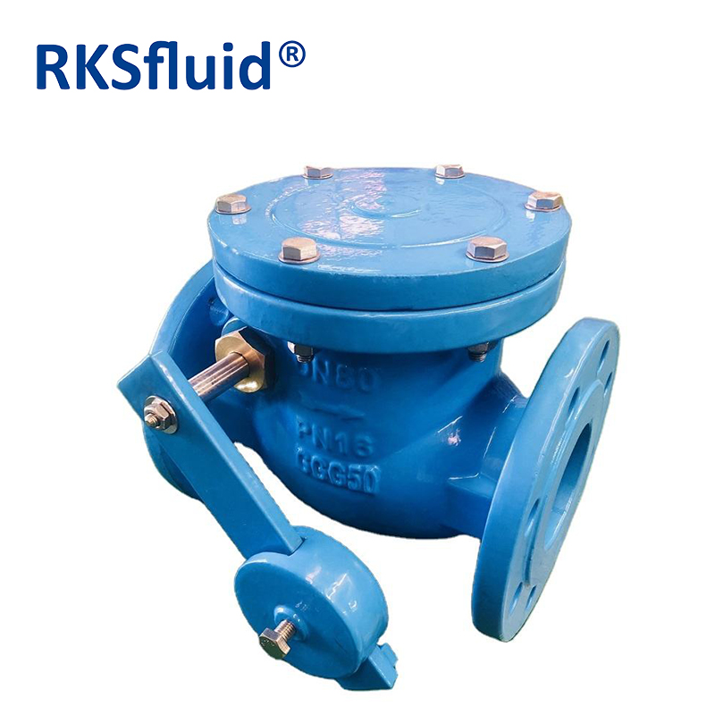 Chinese Manufacturer Ductile Iron DN150 Flange Swing Check Valve Rotary Check Valve with Counterweight and Hydration