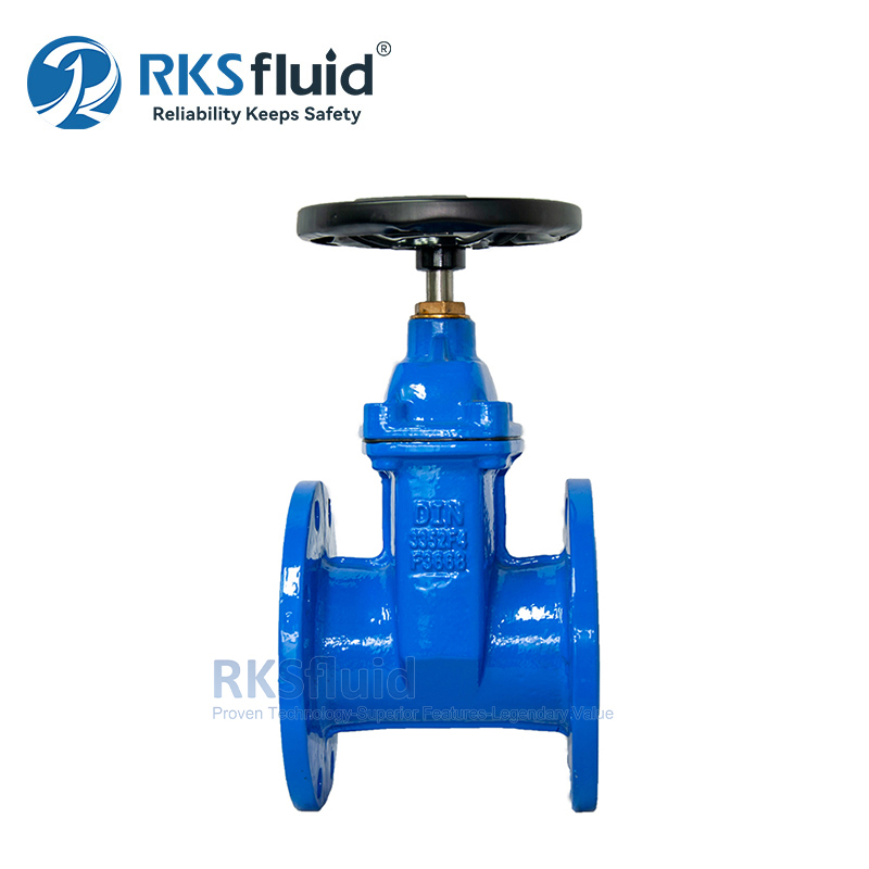 DIN F4 Ductile Iron DN80 DN100 Resilient Seated Flange Gate Valve PN16 for Water
