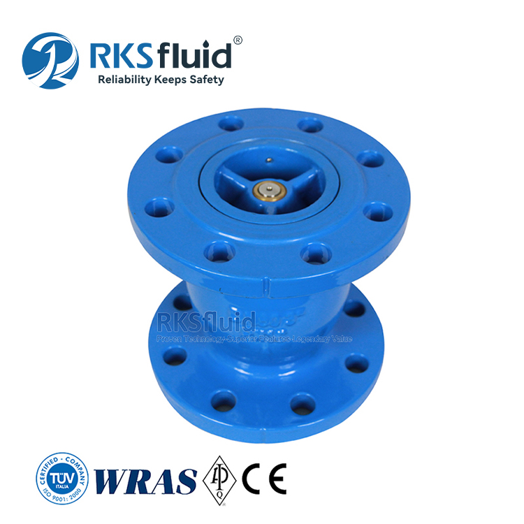 Manufacturer Cast Ductile Iron Flanged End Silent Check Valve DN50 for Water Treatment