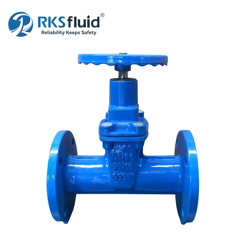 DIN F4 F5 Water Valve Resilient Seated Cast Iron Gate Valve dn100 dn150 dn200 for Water System