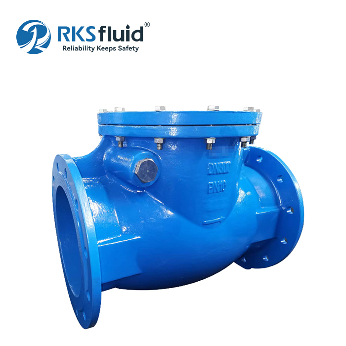 Wholesale Competitive Price BS5153 Ductile Iron DN300 Swing Flange Check Valve PN10 PN16 for Water