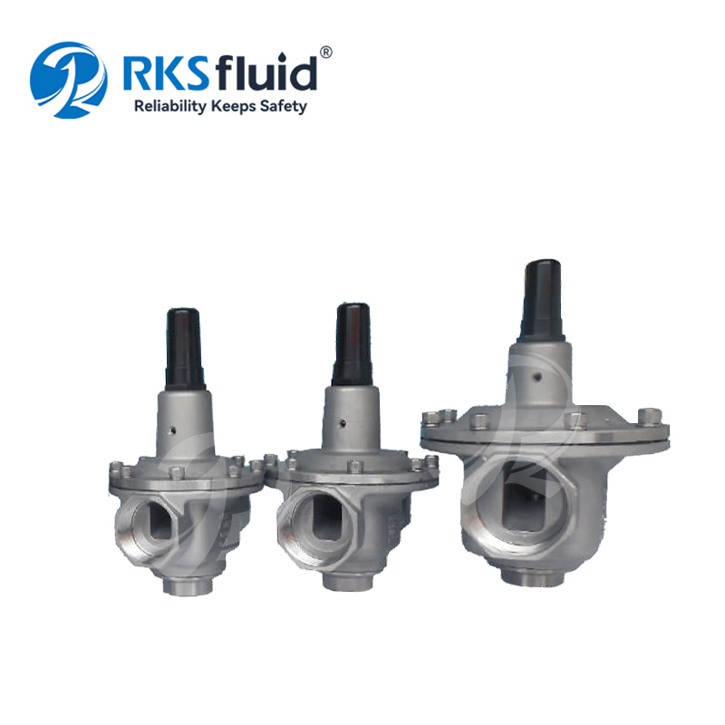 D20E 2inch NPNPT Direct Acting Pressure Reducing Valve DN50 PN25 for Pure Water