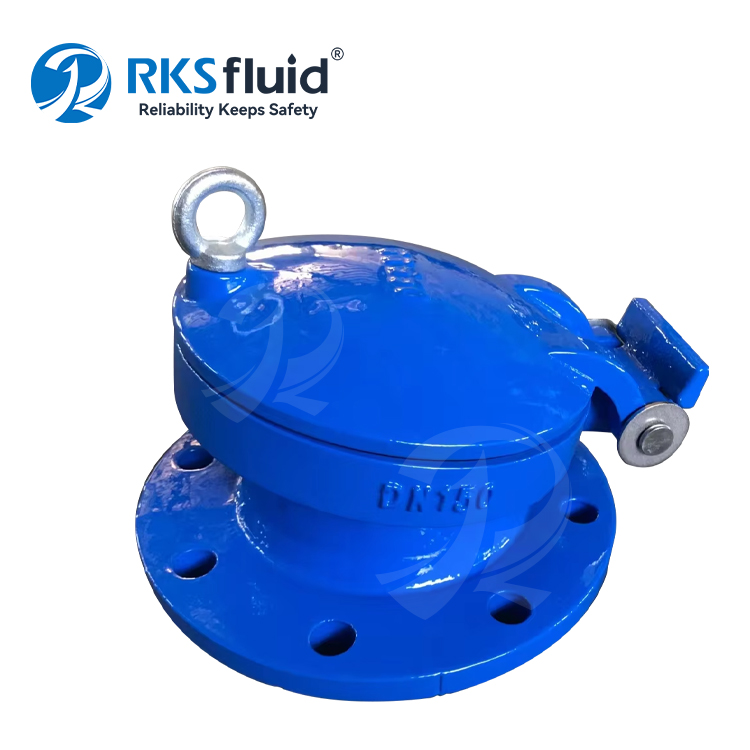 Manufacturer Cast Iron DN100 DN150 PN16 Flap Valve Resilient Seated with Screen