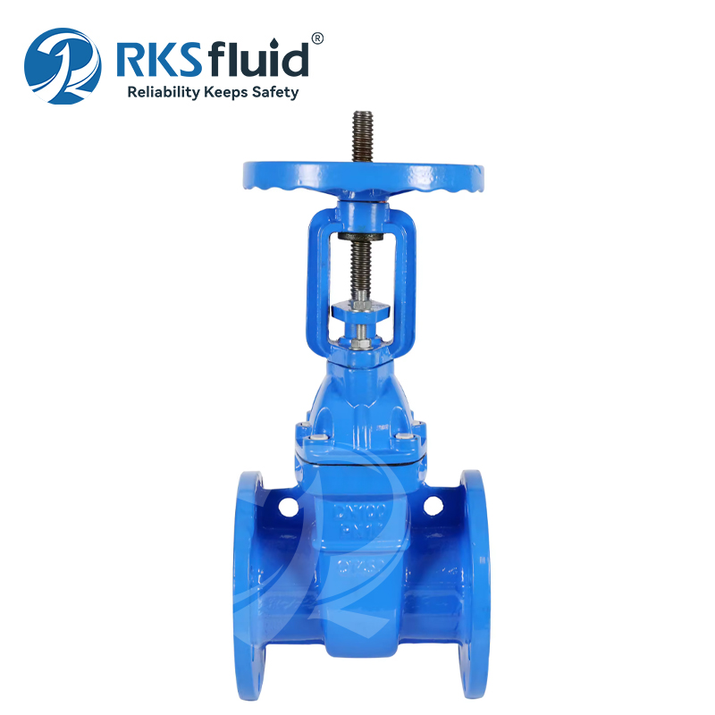 BS5163 Ductile iron DN100 DN200 DN500 Metal Seated Flange Gate Valve customizable Price