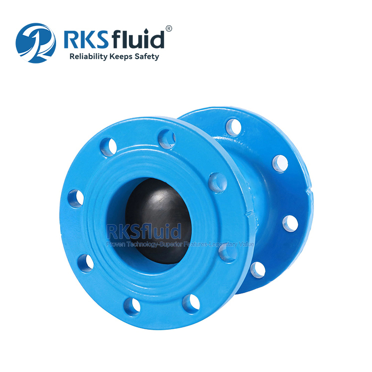 China Customized EN 558-1 Flange End Ductile Iron Silent Check Valve DN300 DN250 for Water Air