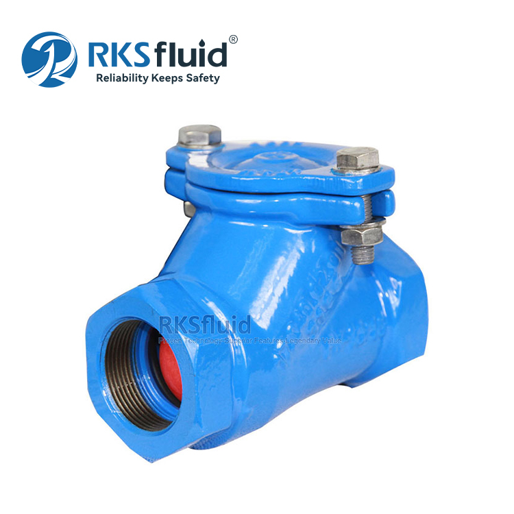 China Manufacturer Threaded DN65 DN80 Ductile Iron Ball Check Valve PN10