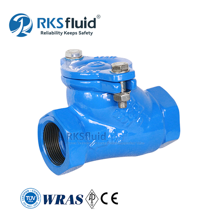 Custom Factory Manufactured EN 1171 Threaded Ductile Iron NBR Flange DN500 Ball Check Valve PN16 for Water Sewage