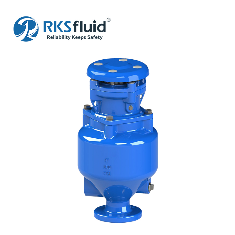 RKSfluid BS EN Sewage Water Combination Flange DN100 DN200 Air Release Valve PN10 PN16