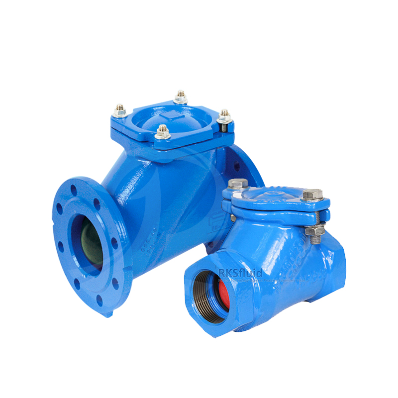 China Factory Direct Non Return Check Valve GGG40 DN25 PN10 Cast Iron Threaded Flange Ball Check Valve DN50 for Water