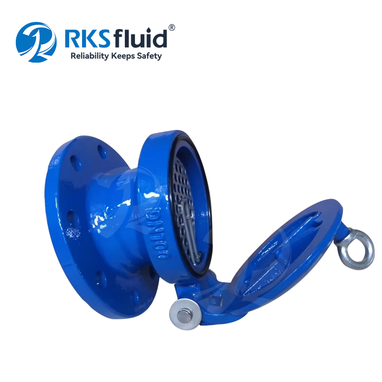 Satyr Series EN1092-2 DUCTILE DUCTILE BRACHE DE BACKAGE VALVE VALVE DN100 DN150 pour les eaux usées