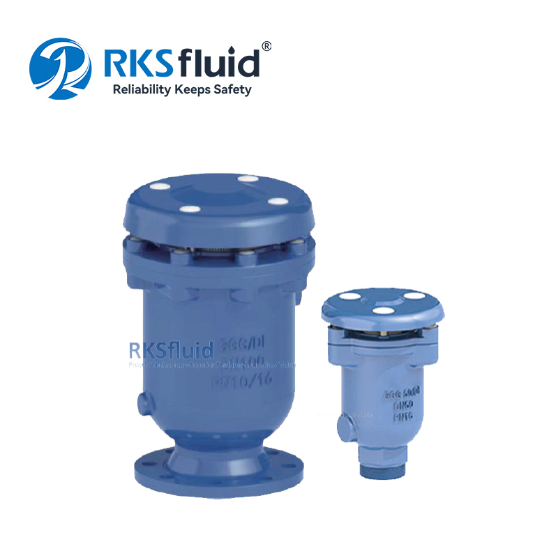 RKSfluid きれいな水のための運動空気放出バルブDN300 PN16の組み合わせ