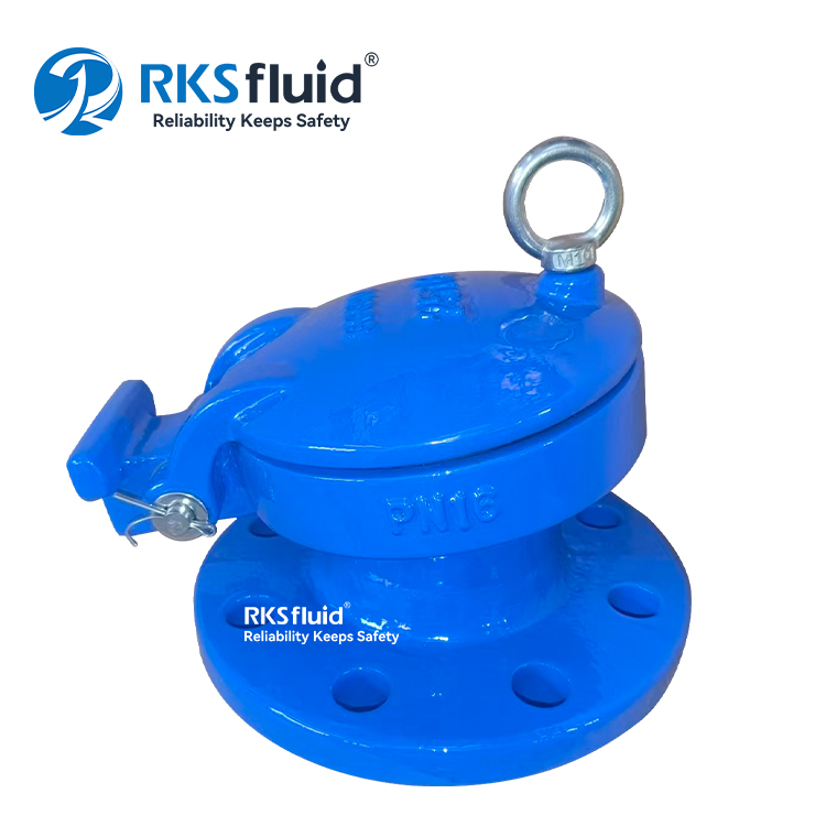 OEM EN1092-2 เหล็กดัด HDPE หน้าแปลนวาล์ว DN80 DN100 ขายส่งที่กำหนดเอง