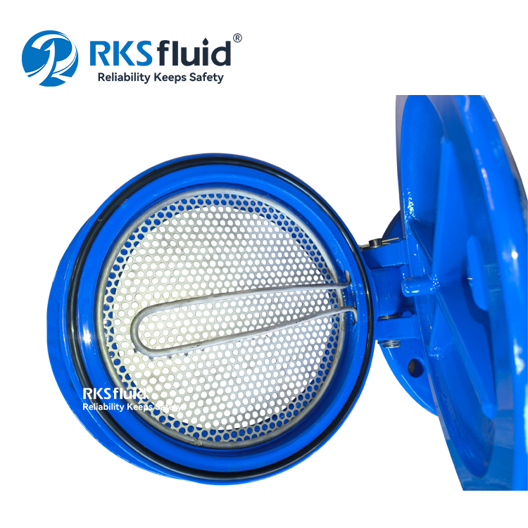 Gezeitensicheres Swing-Non-Return-Klappenventil am Boden