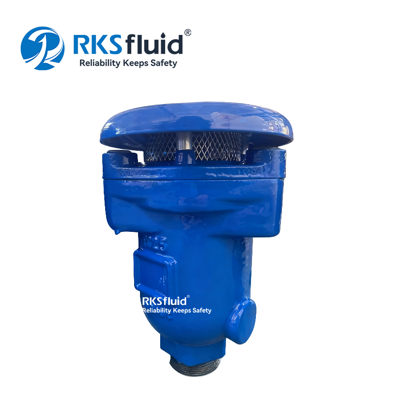 KARS Soupape d'échappement combinée à filetage externe 2 pouces DN50 PN25