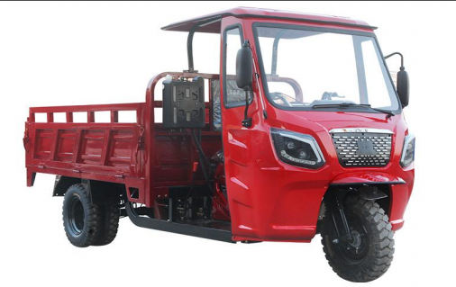 LY-Kane Motorized/Electric tricycles - COPY - e8pd9w