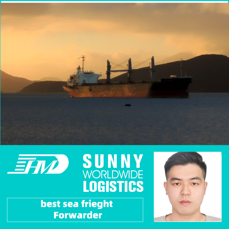 从中国深圳到坦帕美国的便宜和快速的国际海运，与门为门服务