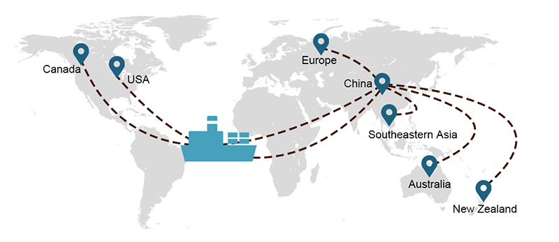 Shipping services from China to Poland transportation sea freight, Sunny Worldwide Logistics