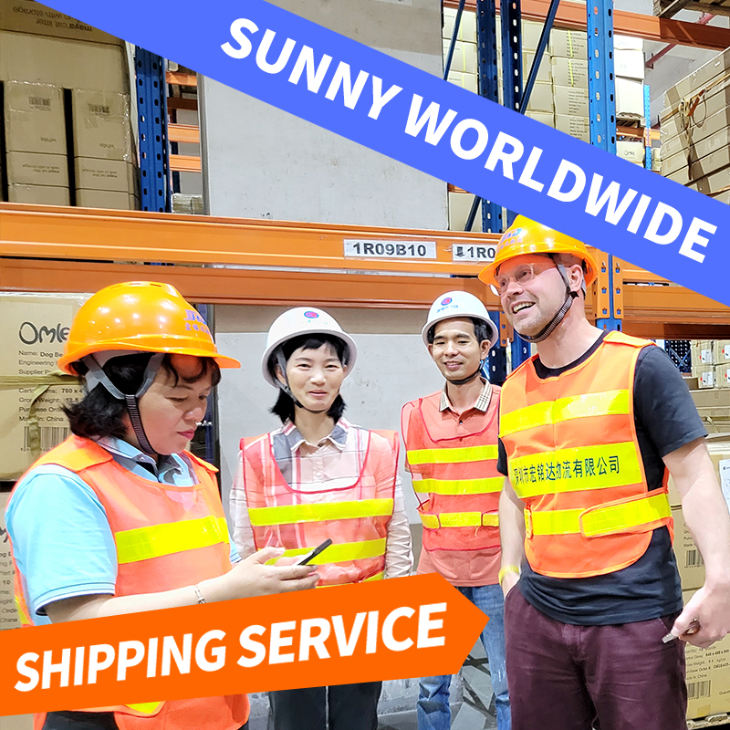 Sea Freight Professional Shipping agent Winter Hats from China to France warehouse in Shenzhen