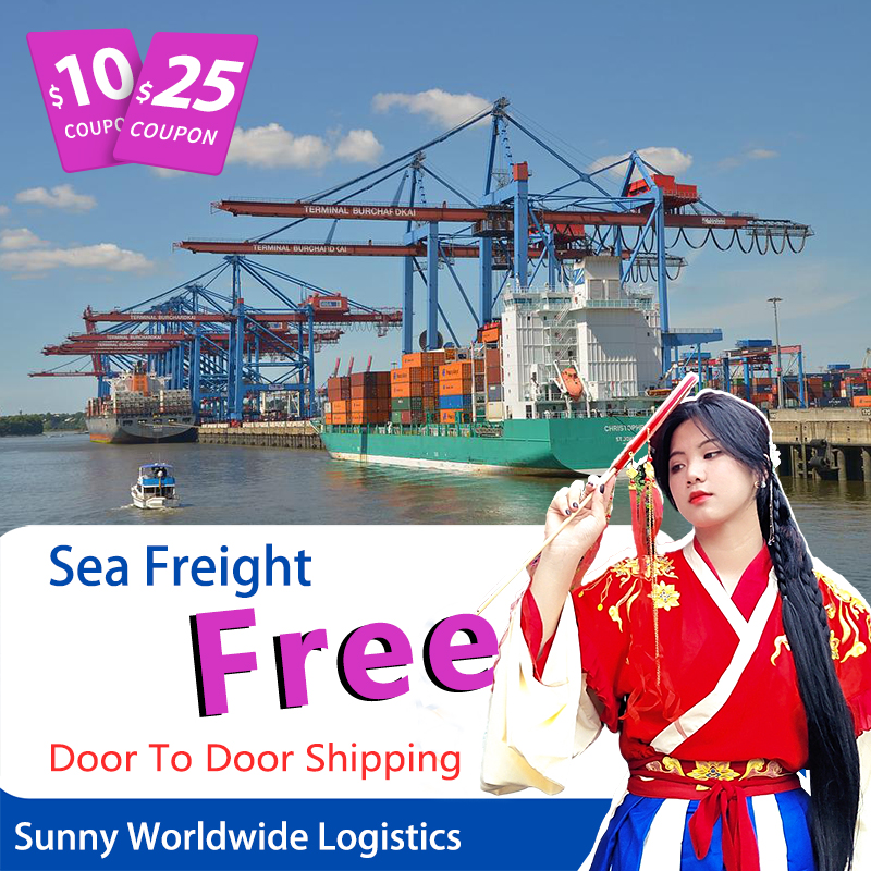 Servicio de carga marítima desde barco de China a Francia ddp envío de carga marítima barato