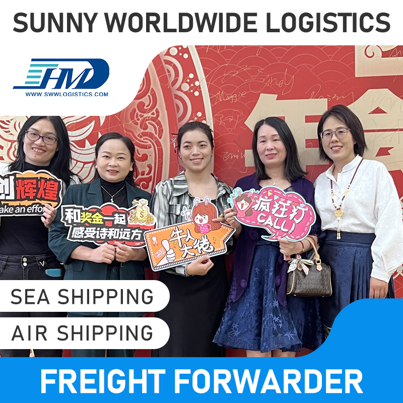 Swwls Fast DDP Logistics Shipping Service Provider Sea Freight Forwarder Agent From China To Malaysia