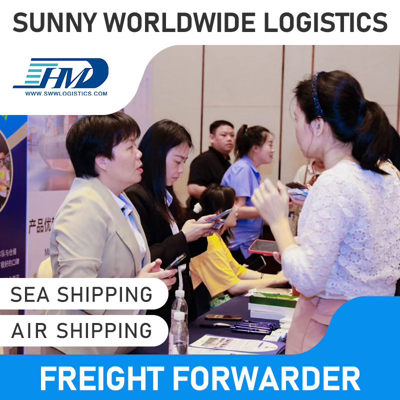 SWWLS DDP Udara Penghantaran Kadar Penerbangan Langsung Penghantaran Air Express dari China ke Slovakia Air Freight Forwarder