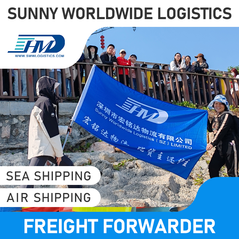 Swwls Fast DDP Logistics Shipping Service Provider Sea Freight Forwarder Agent From China To Australia