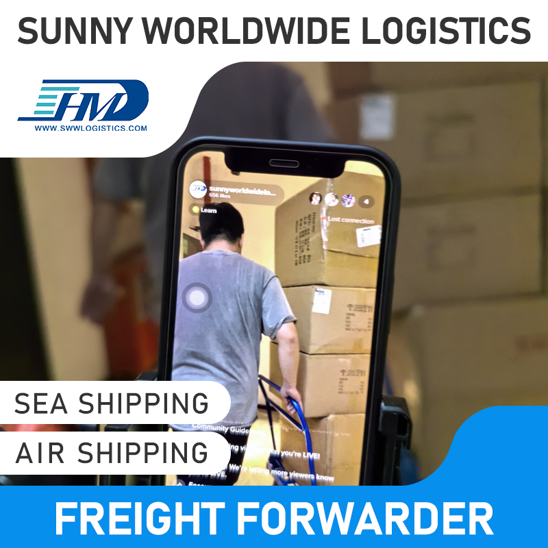 SWWLS DDP Cargo Ship Services de logística Air Express Freight Reengueer China a Países Bajos