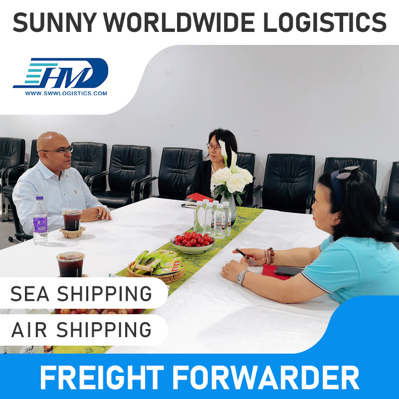 Swwls Door to Door Express Air Freight Forwarder and Sea Transport Service to Canada